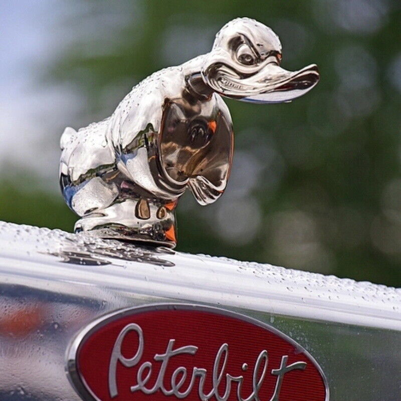 Art Craft Duck - Hood Angry Duck Car Front Ornament