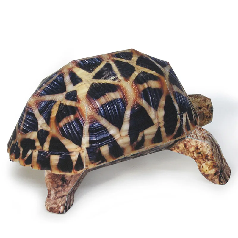 Indian Star Tortoise Paper Mod - Art Craft Center 评论和价格