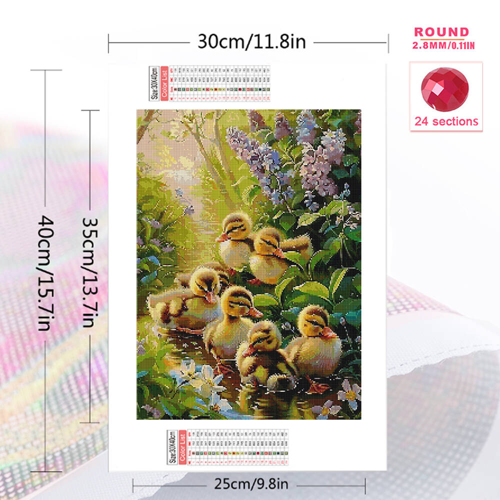 Frameless, 5D DIY Diamond Pain - Art Craft Duck 评论和价格