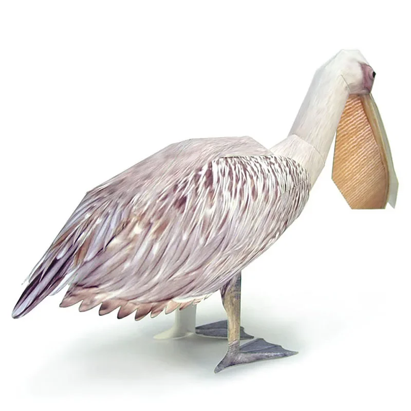 Great White Pelican Bird Paper - Art Craft Center 评论和价格